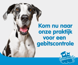 gebitscontrole, gebit, 