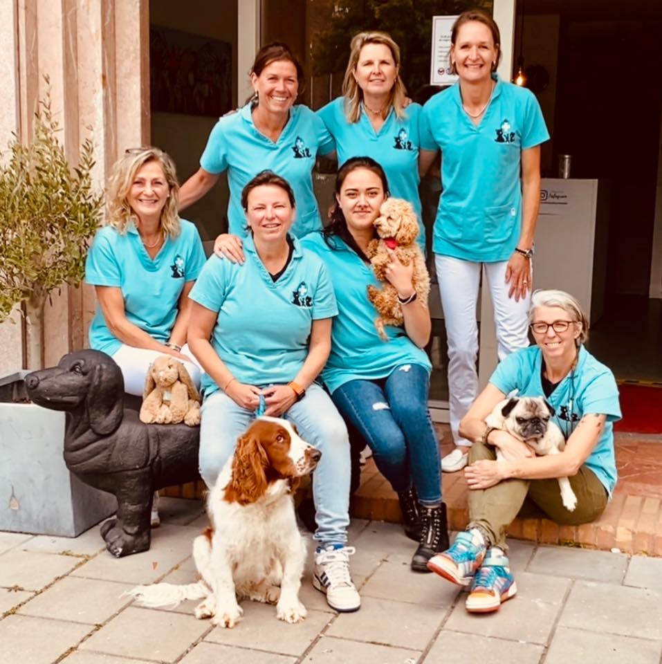 Dierenkliniek Aerdenhout en Bennebroek